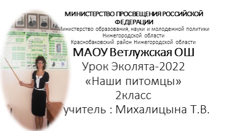 МАОУ Ветлужская ОШ Урок Эколята-2022 «Наши питомцы» Всероссийский урок «Эколята-молодые защитники природы». Учебники, Презентации и Подготовка к Экзаменам для Школьников на Klass-Uchebnik.com