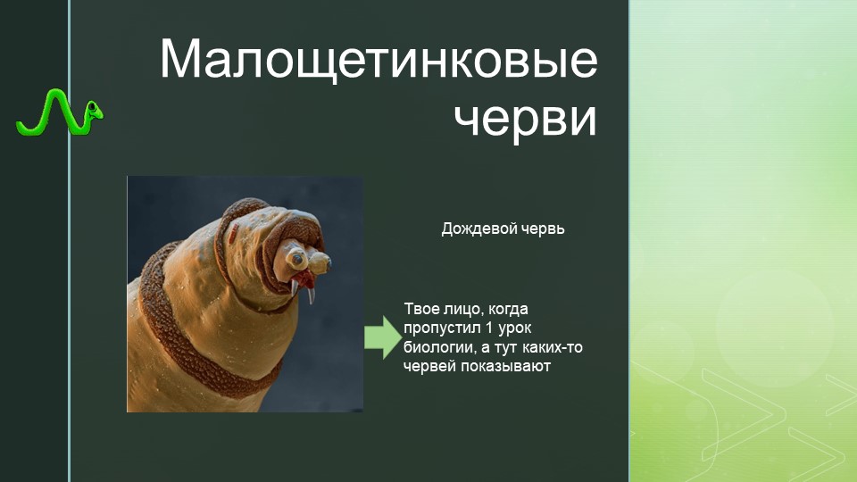 Презентация к уроку по теме "Малощетинковые черви" Учебники, Презентации и Подготовка к Экзаменам для Школьников на Klass-Uchebnik.com