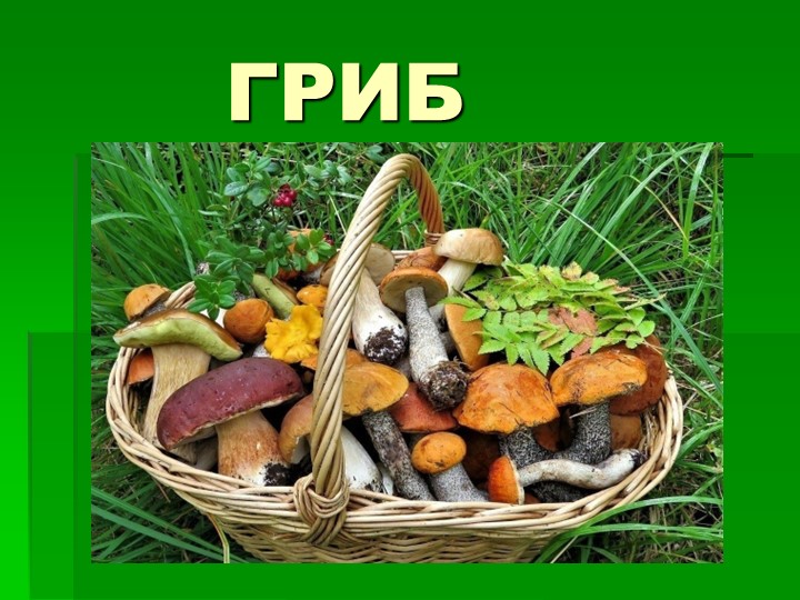 Презентация по предмету познаю мир на тему "Грибы" старшая группа Учебники, Презентации и Подготовка к Экзаменам для Школьников на Klass-Uchebnik.com