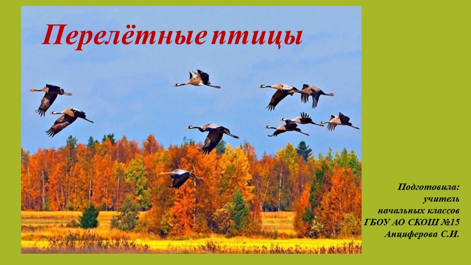 Презентация к уроку мир природы и человека по теме: "Перелётные птицы" (3 класс) Учебники, Презентации и Подготовка к Экзаменам для Школьников на Klass-Uchebnik.com