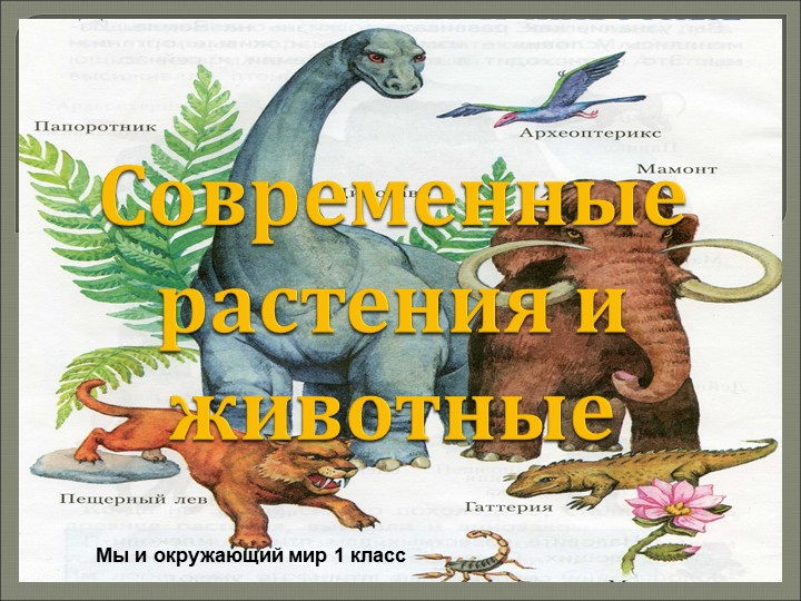 Современные растения и животные Учебники, Презентации и Подготовка к Экзаменам для Школьников на Klass-Uchebnik.com