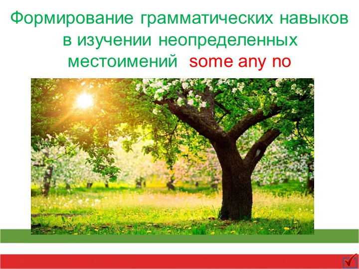 Презентация по английскому языку на тему "Формирование грамматических навыков в изучении неопределенных местоимений some any no" Учебники, Презентации и Подготовка к Экзаменам для Школьников на Klass-Uchebnik.com
