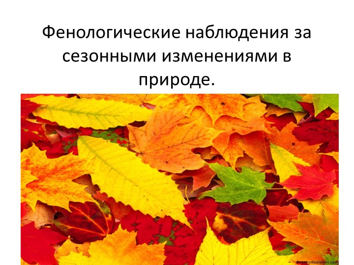 Презентация на тему: "Фенология" Учебники, Презентации и Подготовка к Экзаменам для Школьников на Klass-Uchebnik.com