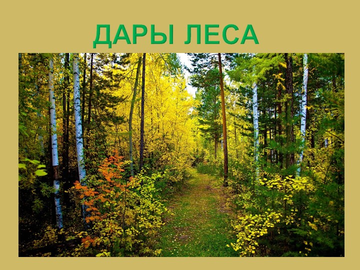Презентация по окружающему миру на тему "Дары леса" Учебники, Презентации и Подготовка к Экзаменам для Школьников на Klass-Uchebnik.com
