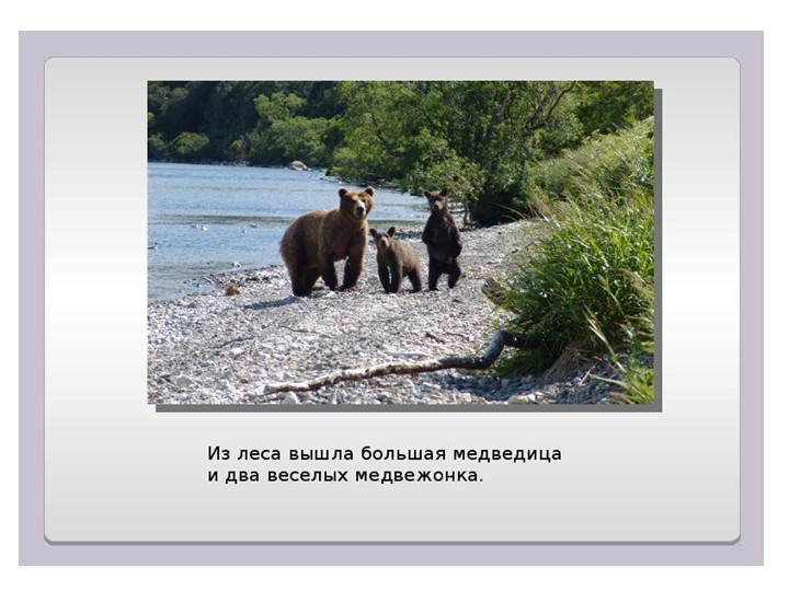 Презентация В. Бианки " Купание медвежат" Учебники, Презентации и Подготовка к Экзаменам для Школьников на Klass-Uchebnik.com