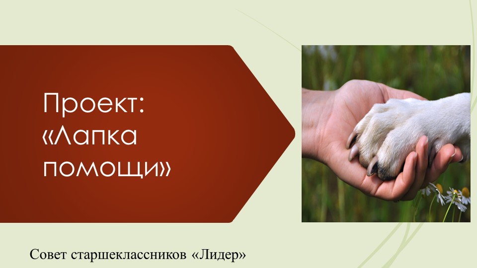 Презентация проекта "Лапка помощи" Учебники, Презентации и Подготовка к Экзаменам для Школьников на Klass-Uchebnik.com