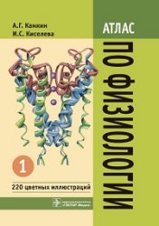 Атлас по физиологии. т.1 - Камкин А.Г., Киселева И.С. Учебники, Презентации и Подготовка к Экзаменам для Школьников на Klass-Uchebnik.com