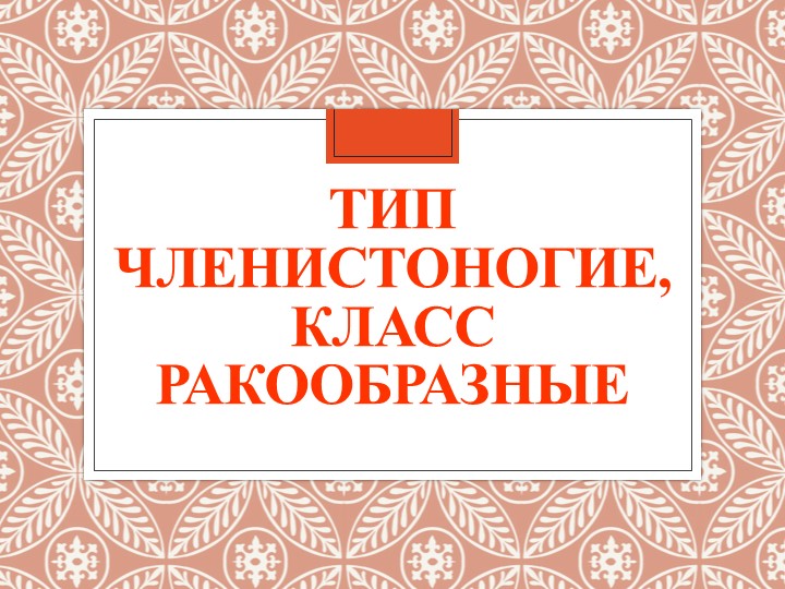 Презентация "Тип Членистоногие, класс Ракообразные" Учебники, Презентации и Подготовка к Экзаменам для Школьников на Klass-Uchebnik.com