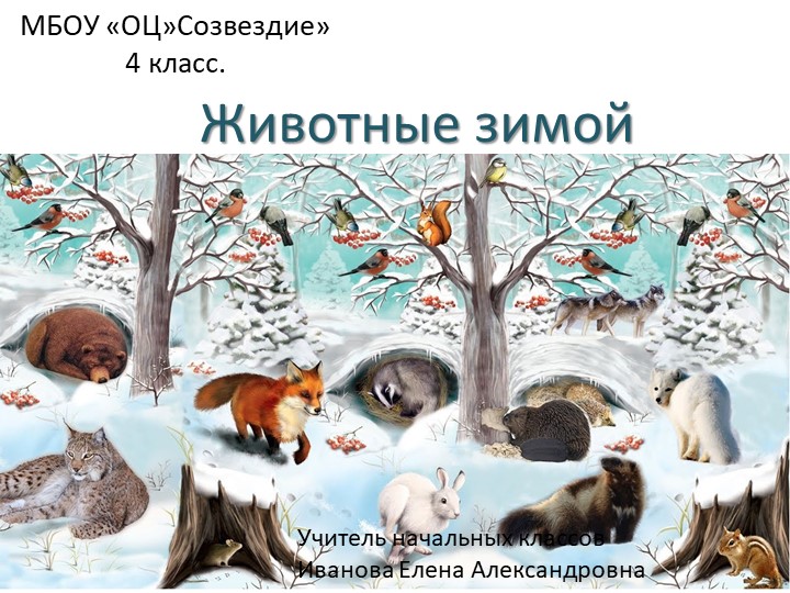 Презентация по миру природы и человека на тему "Животные зимой" Учебники, Презентации и Подготовка к Экзаменам для Школьников на Klass-Uchebnik.com