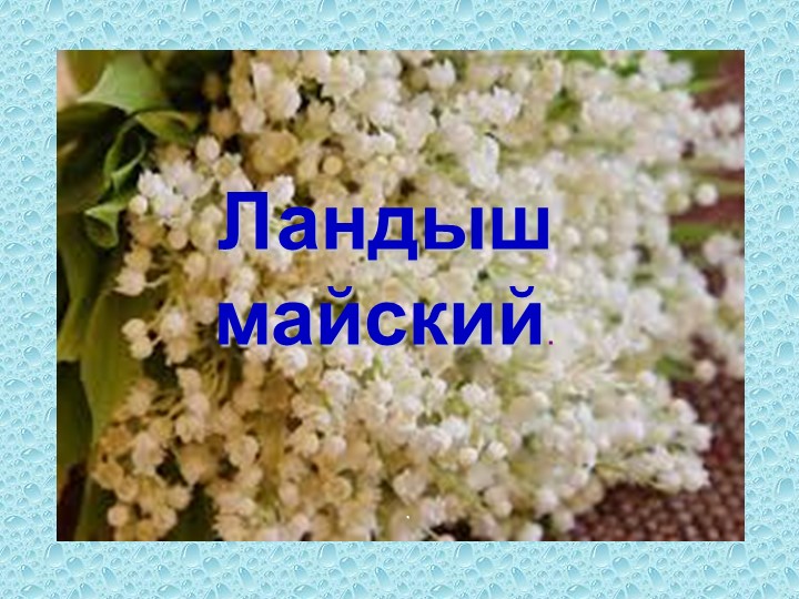 Презентация по биологии на тему "Ландыш" Учебники, Презентации и Подготовка к Экзаменам для Школьников на Klass-Uchebnik.com