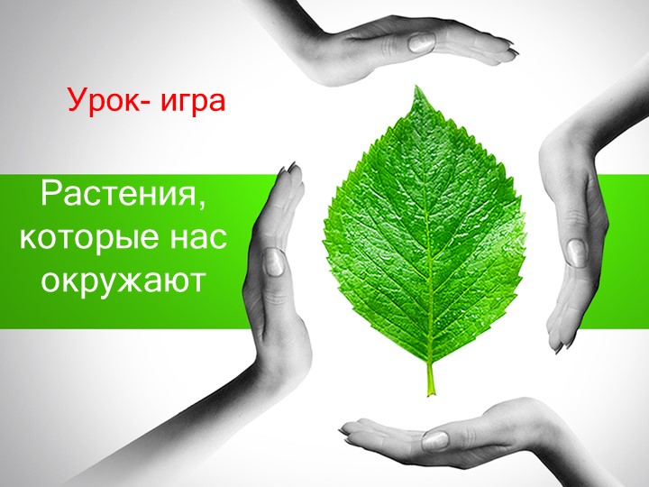 Презентация по кубановедению 6 класс"Растения, которые нас окружают" Учебники, Презентации и Подготовка к Экзаменам для Школьников на Klass-Uchebnik.com