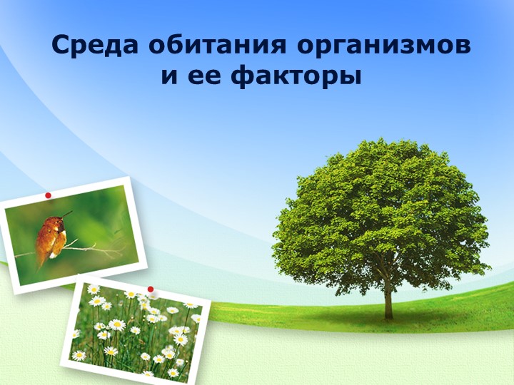 Презентация к уроку "Среда обитания организмов" Учебники, Презентации и Подготовка к Экзаменам для Школьников на Klass-Uchebnik.com