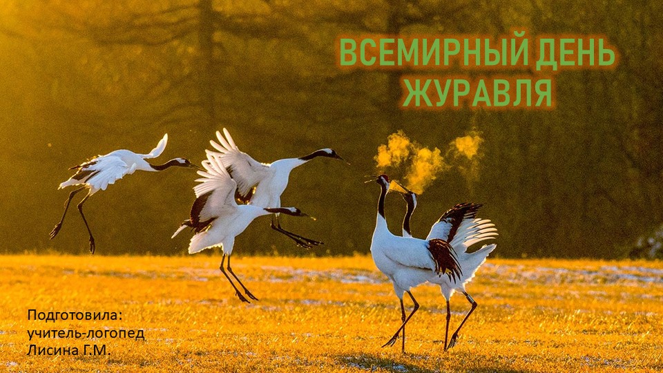Беседа с детьми старшей логопедической группы "Всемирный день журавля" Учебники, Презентации и Подготовка к Экзаменам для Школьников на Klass-Uchebnik.com