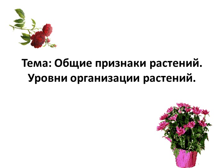 Презентация на тему: "Общие признаки растений" (6 класс) Учебники, Презентации и Подготовка к Экзаменам для Школьников на Klass-Uchebnik.com