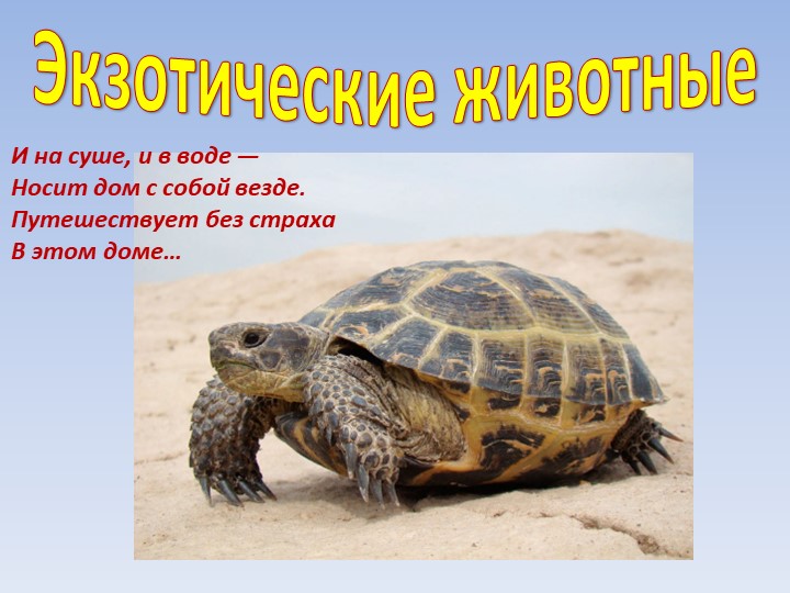 Электронное приложение к занятию по конструированию из ТИКО по теме "Зоопарк"" Учебники, Презентации и Подготовка к Экзаменам для Школьников на Klass-Uchebnik.com