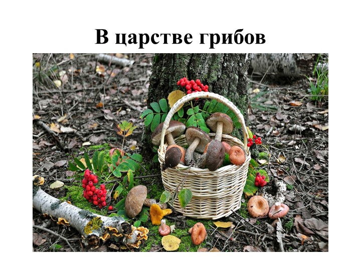 Презентация по ознакомлению с окружающим миром "В царстве грибов" Учебники, Презентации и Подготовка к Экзаменам для Школьников на Klass-Uchebnik.com