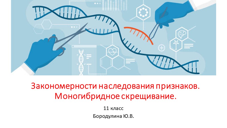 Презентация по биологии на тему "Закономерности наследования признаков. Моногибридное скрещивание." (11 класс) Учебники, Презентации и Подготовка к Экзаменам для Школьников на Klass-Uchebnik.com
