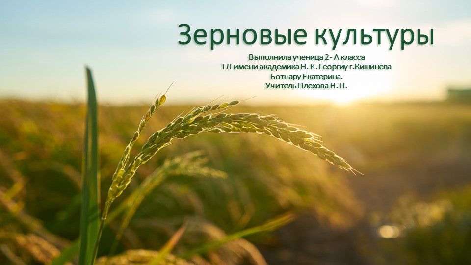 Презентация по познанию мира по теме: " Культурные и дикорастущие растения" 2 класс Учебники, Презентации и Подготовка к Экзаменам для Школьников на Klass-Uchebnik.com