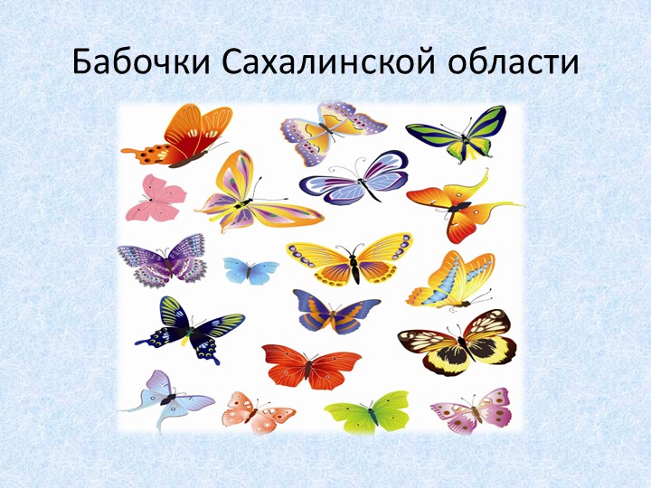 Презентация "Бабочки Сахалинской области" Учебники, Презентации и Подготовка к Экзаменам для Школьников на Klass-Uchebnik.com