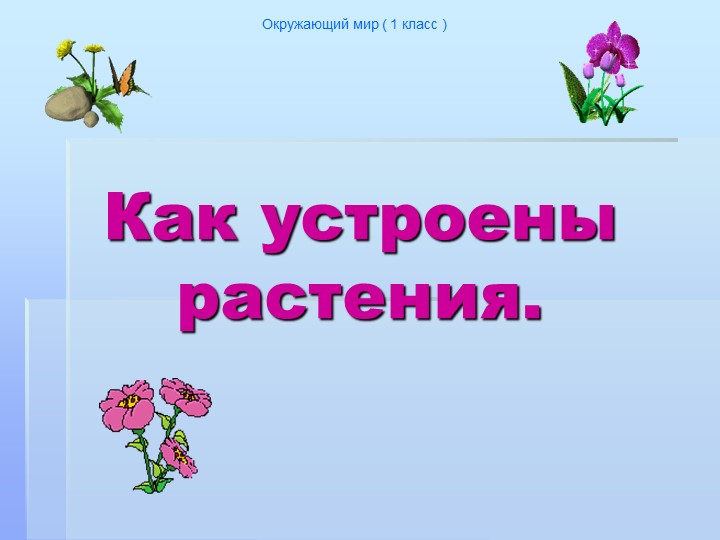 Презентация к уроку "Как устроено растение" Учебники, Презентации и Подготовка к Экзаменам для Школьников на Klass-Uchebnik.com