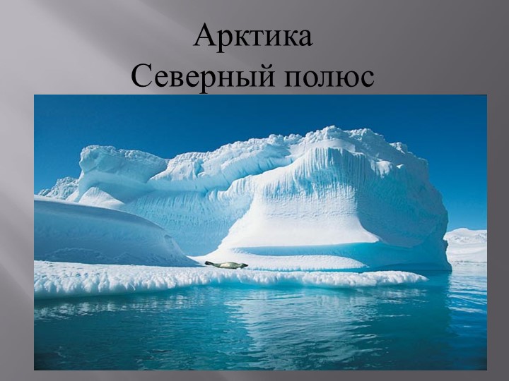 Презентация по окружающему миру для старших дошкольников: "Арктика. Северный полюс." Учебники, Презентации и Подготовка к Экзаменам для Школьников на Klass-Uchebnik.com