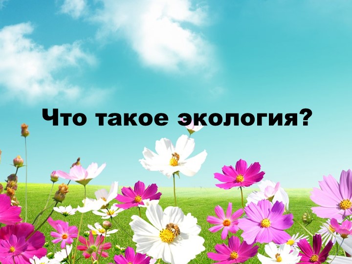Презентация на тему: " Что такое экология" 4 класс Учебники, Презентации и Подготовка к Экзаменам для Школьников на Klass-Uchebnik.com