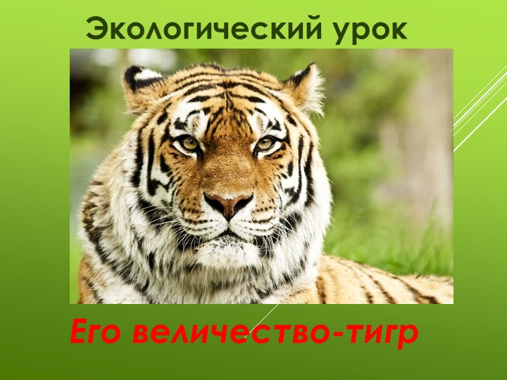 Презентация к экологическому уроку на тему"Его величество - тигр" (3 класс) Учебники, Презентации и Подготовка к Экзаменам для Школьников на Klass-Uchebnik.com