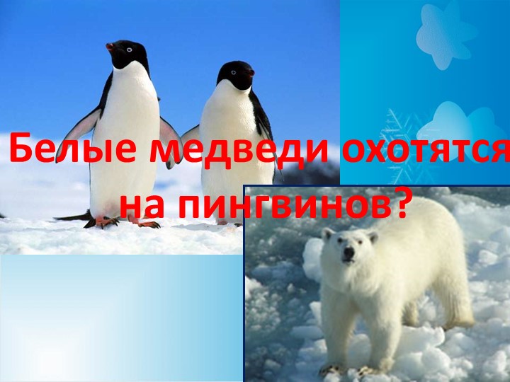 Презентация по окружающему миру на тему "Где зимуют белые медведи" Учебники, Презентации и Подготовка к Экзаменам для Школьников на Klass-Uchebnik.com