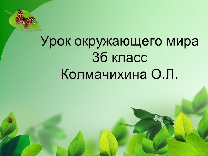 Презентация к уроку по окружающему миру "В царстве грибов" Учебники, Презентации и Подготовка к Экзаменам для Школьников на Klass-Uchebnik.com