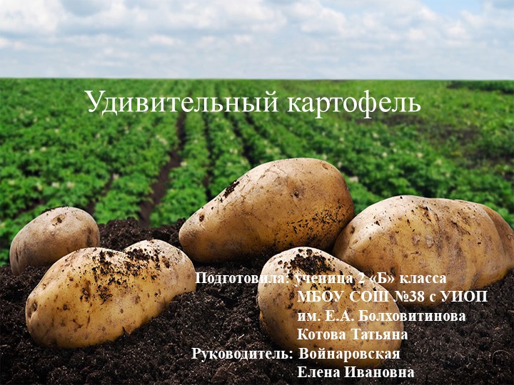 Презентация по окружающему миру на тему :"Удивительный картофель". (2-4 класс) Учебники, Презентации и Подготовка к Экзаменам для Школьников на Klass-Uchebnik.com