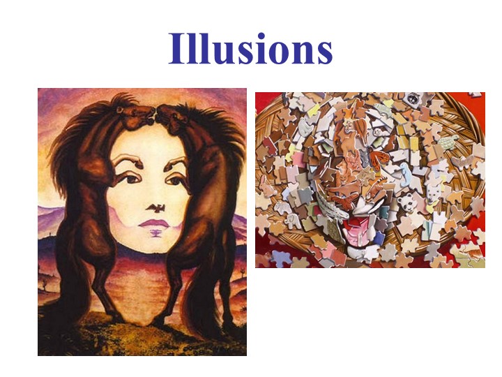 Презентация к уроку 9 класс Illusion Учебники, Презентации и Подготовка к Экзаменам для Школьников на Klass-Uchebnik.com