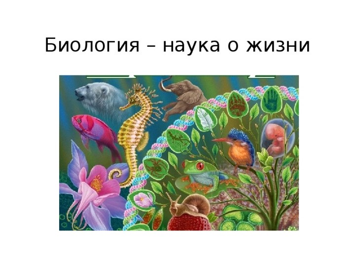 Признаки живого. Живая и неживая природа Учебники, Презентации и Подготовка к Экзаменам для Школьников на Klass-Uchebnik.com