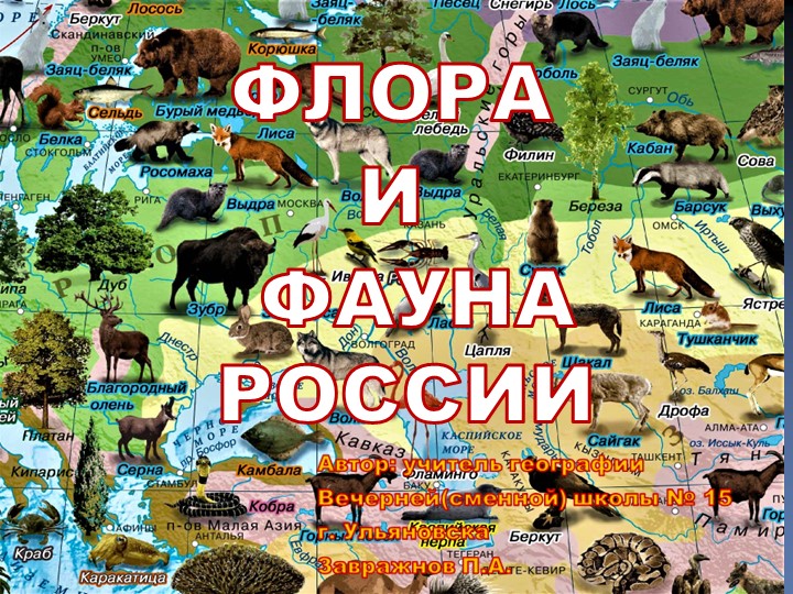 Презентация по географии: "Флора и фауна России" (8 класс) Учебники, Презентации и Подготовка к Экзаменам для Школьников на Klass-Uchebnik.com