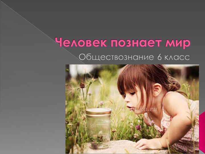 Тема урока "Человек познает мир" Учебники, Презентации и Подготовка к Экзаменам для Школьников на Klass-Uchebnik.com