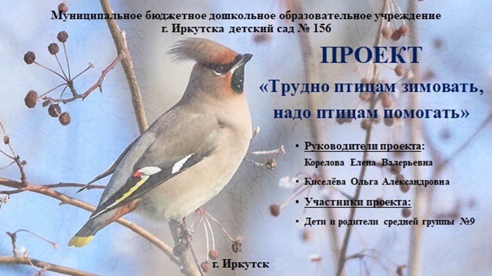 Презентация проекта "Трудно птицам зимовать, надо птицам помогать" Учебники, Презентации и Подготовка к Экзаменам для Школьников на Klass-Uchebnik.com