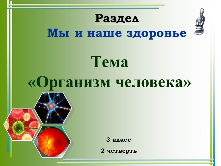 Презентация к уроку окружающего мира 3 класс "Организм человека" Учебники, Презентации и Подготовка к Экзаменам для Школьников на Klass-Uchebnik.com