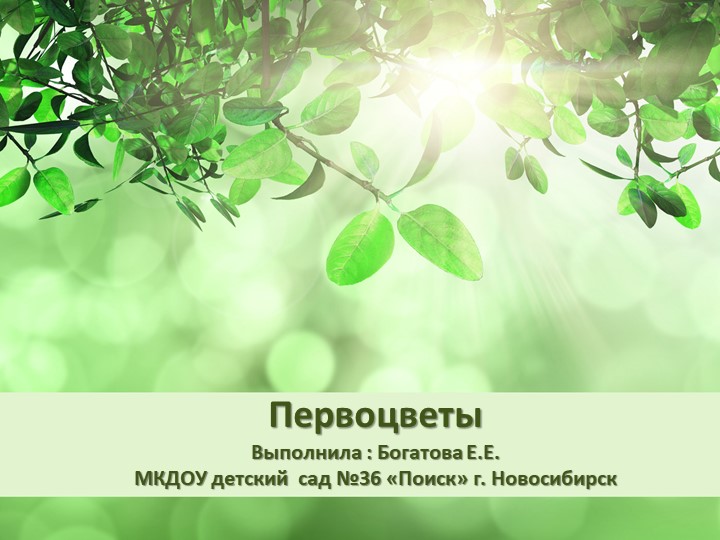 Презентация для детей средней группы "Первоцветы" Учебники, Презентации и Подготовка к Экзаменам для Школьников на Klass-Uchebnik.com