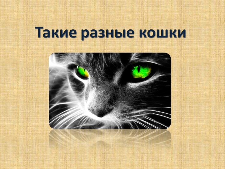 Презентация "Такие разные кошки"ки" Учебники, Презентации и Подготовка к Экзаменам для Школьников на Klass-Uchebnik.com