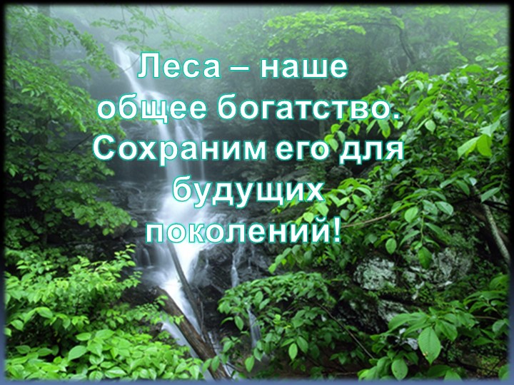 Защита аншлага "Сохраним русский лес" Учебники, Презентации и Подготовка к Экзаменам для Школьников на Klass-Uchebnik.com