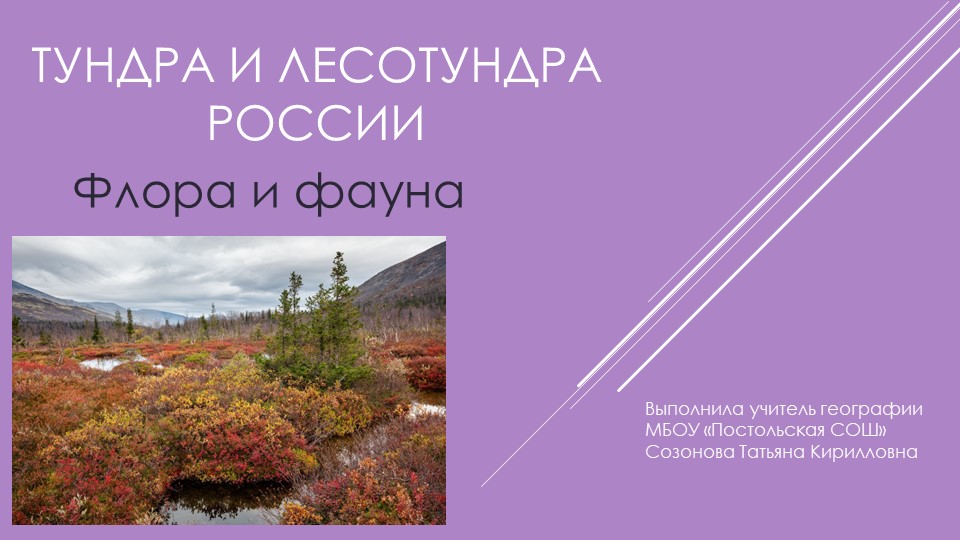 Презентация "Тундра и лесотундра России. Флора и фауна" Учебники, Презентации и Подготовка к Экзаменам для Школьников на Klass-Uchebnik.com