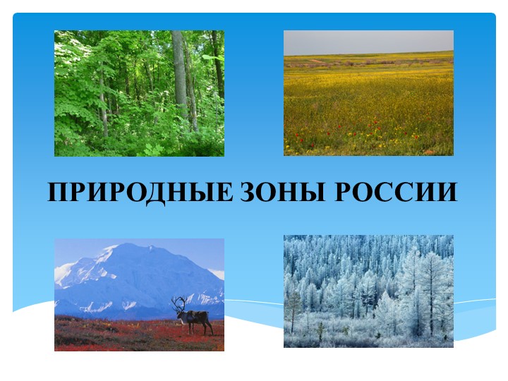 Презентация по биологии на тему "Природные зоны России" (5 класс) Учебники, Презентации и Подготовка к Экзаменам для Школьников на Klass-Uchebnik.com