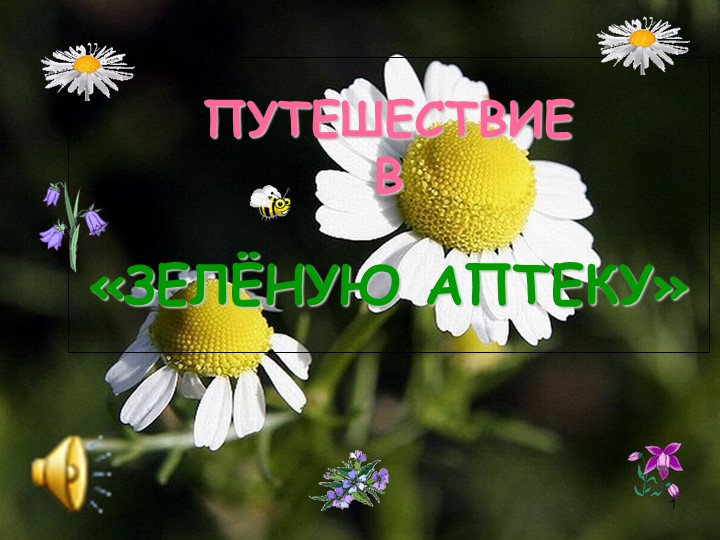 Презентация-путешествие "В лесную аптеку" Учебники, Презентации и Подготовка к Экзаменам для Школьников на Klass-Uchebnik.com