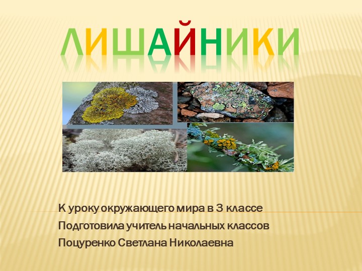 Презентация к уроку окружающего мира на тему "Лишайники" (3 класс) Учебники, Презентации и Подготовка к Экзаменам для Школьников на Klass-Uchebnik.com