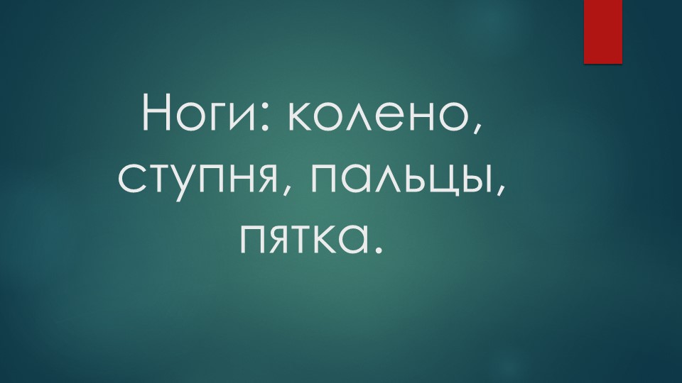Презентация к уроку "Человек" по теме "Ноги: колено, ступня, пальцы, пятка" Учебники, Презентации и Подготовка к Экзаменам для Школьников на Klass-Uchebnik.com