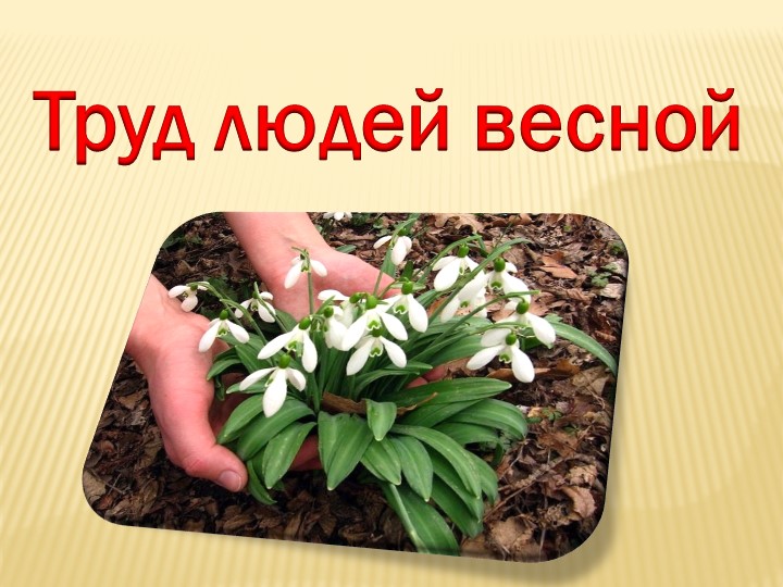 Презентация на тему "Труд людей весной"(группа предшкольной подготовки) Учебники, Презентации и Подготовка к Экзаменам для Школьников на Klass-Uchebnik.com