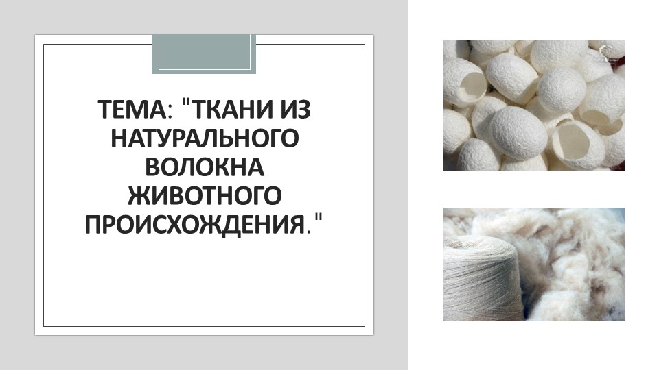 Презентация по технологии на теме "Производство и свойства тканей из натуральных тканей животного происхождения" (учебник Казакевич В.М.) 6 класс Учебники, Презентации и Подготовка к Экзаменам для Школьников на Klass-Uchebnik.com