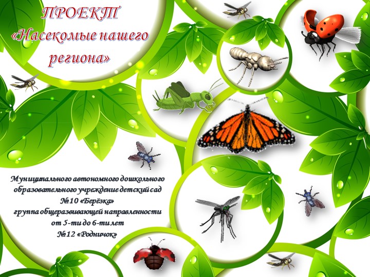 Презентация экологический проект " Насекомые нашего региона" (ст.гр) Учебники, Презентации и Подготовка к Экзаменам для Школьников на Klass-Uchebnik.com