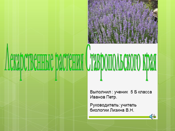 Лекарственные растения Ставропольского края Учебники, Презентации и Подготовка к Экзаменам для Школьников на Klass-Uchebnik.com