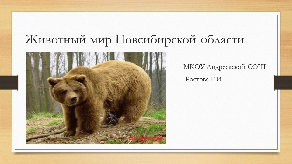 Презентация "Животный мир Новосибирской области" Учебники, Презентации и Подготовка к Экзаменам для Школьников на Klass-Uchebnik.com