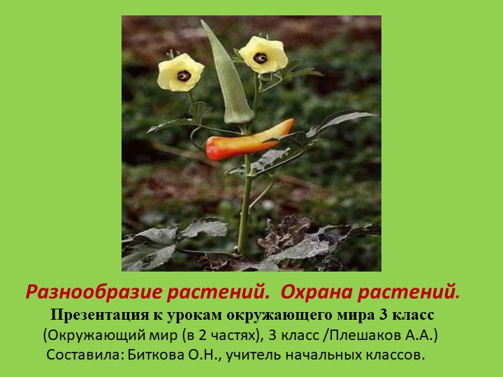 Презентация к уроку окружающего мира на тему "Разнообразие растений. Охрана растений". (3 класс) Учебники, Презентации и Подготовка к Экзаменам для Школьников на Klass-Uchebnik.com